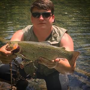 Meet your Posher, Cody